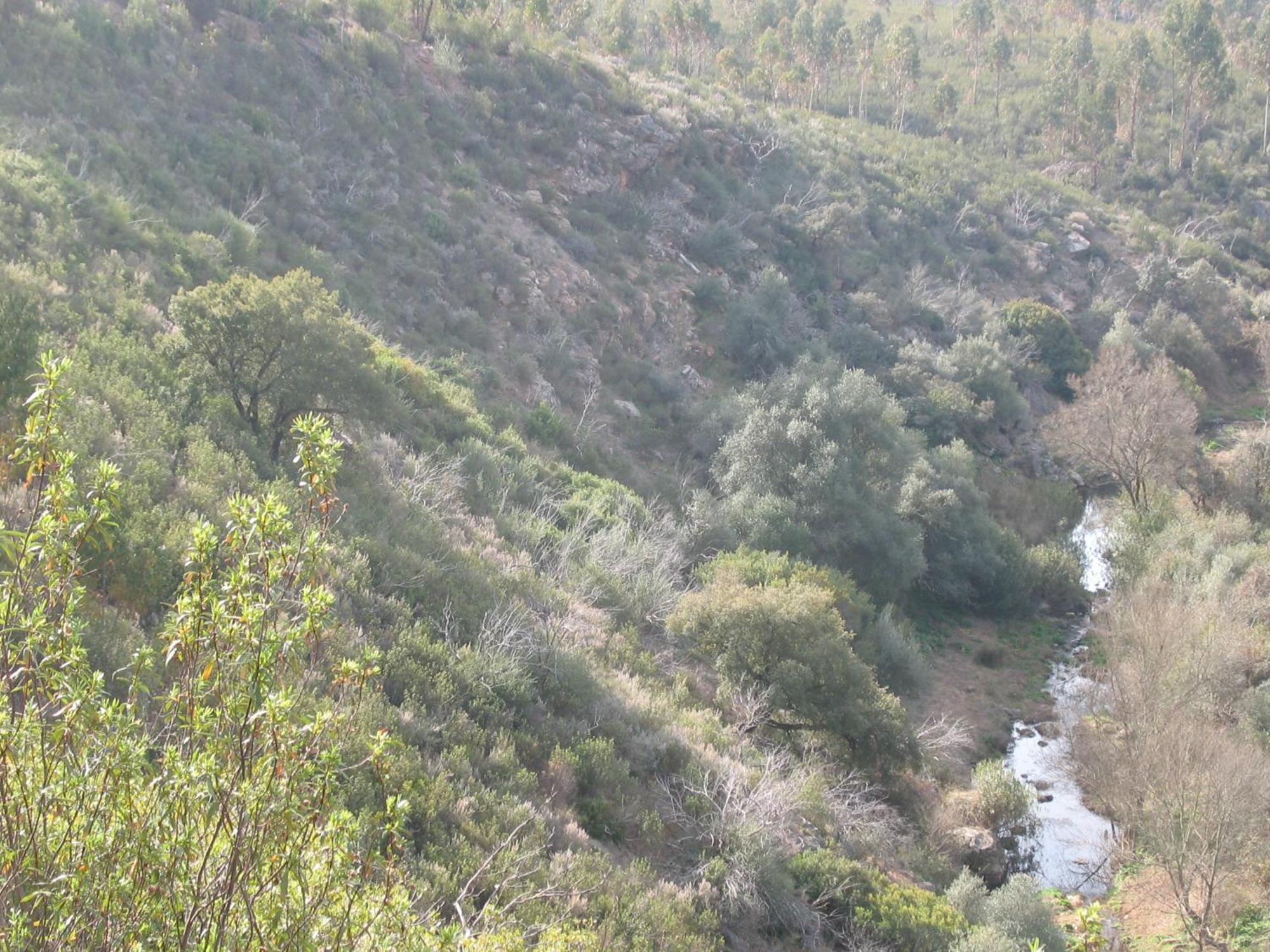Herdade Do Rio Torto Портел Екстериор снимка