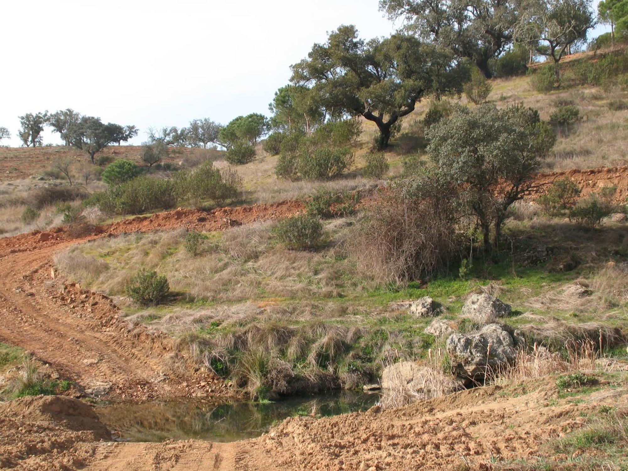 Herdade Do Rio Torto Портел Екстериор снимка