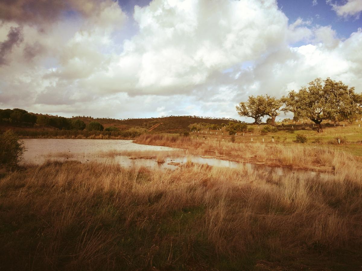 Herdade Do Rio Torto Портел Екстериор снимка