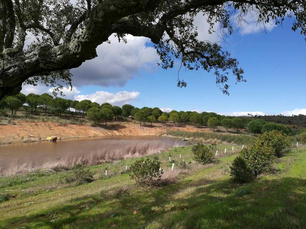 Herdade Do Rio Torto Портел Екстериор снимка